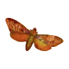 Orange Butterfly - A Digital Scrapbooking Shape Embellishment Asset by Marisa Lerin